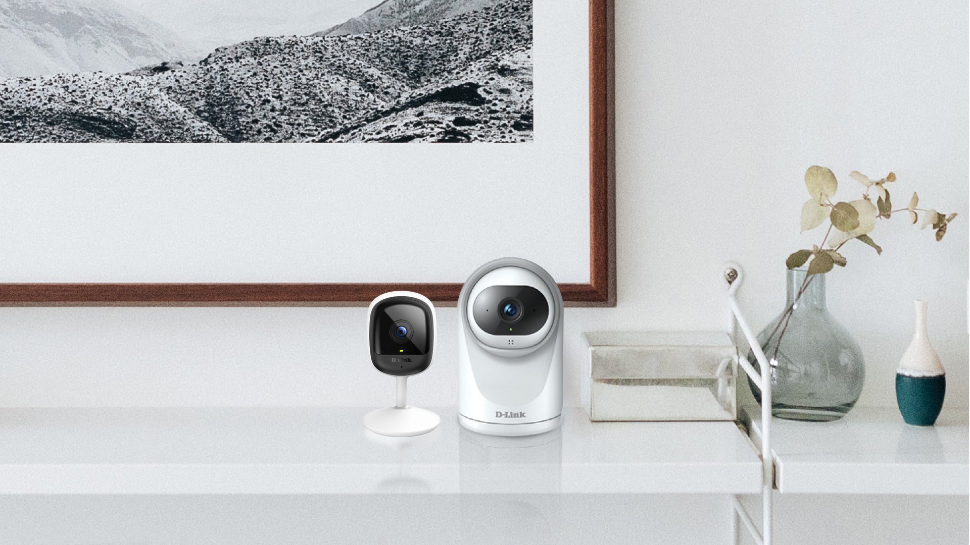 Fixed IP Camera